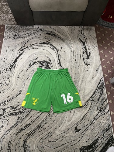 Norwich city match worn - norwich,