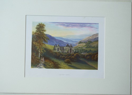 Tintern abbey f - abbey,, lydon