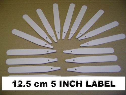 White plastic plant - •,