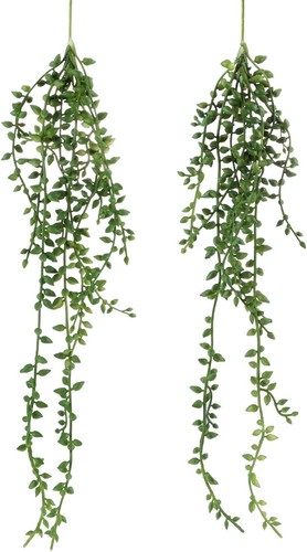 Artificial hanging succulent - hanging,