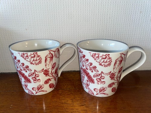 Sainsbury set 2 acorns - set,