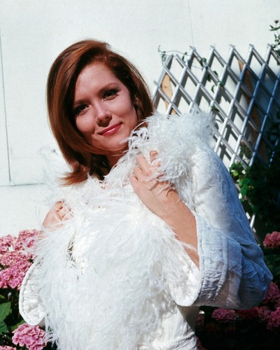 Diana rigg 8 photograph - x,
