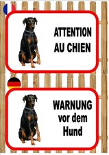 Doberman Pinscher Beware of