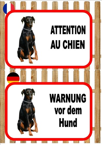 Doberman pinscher beware - pinscher, of