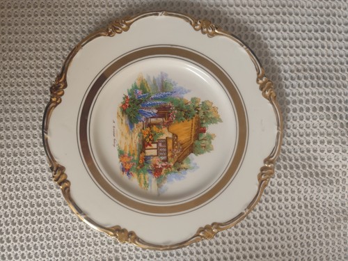 Regency bone china dinner - china,