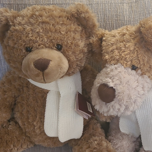 Bhs plush teddy bears soft - plush,