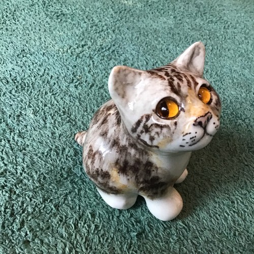 Winstanley tabby squashed - ,