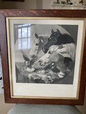 Antique original engraving f - original,