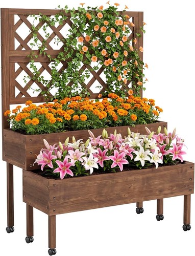 Raised garden bed - with, trellis