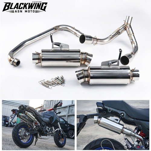 Dual exhaust system pipe - exhaust, tip