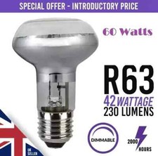 4x 42W (=60W) Eco Halogen R63