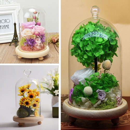 Glass dome heart ball star - glass,