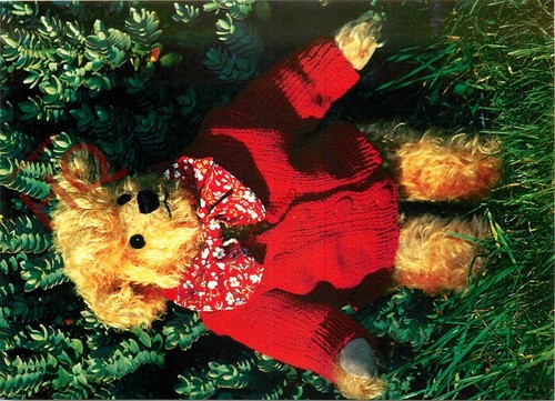 Picture postcard teddy - picture, bear