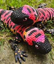 Stunning Gila Monster Lizard