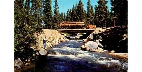 Susanville 1960s logging - susanville,