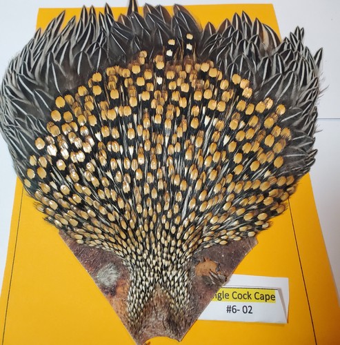 Jungle cock cape super aaaa - jungle,