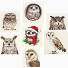 OWLS, BARN OWL, TAWNY, LITTLE