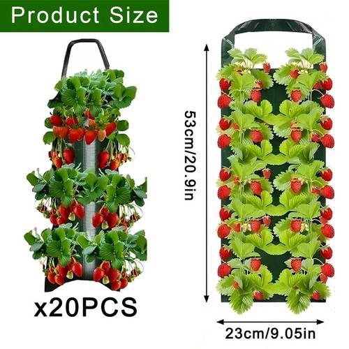 Strawberry grow bag hanging - strawberry,