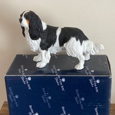 Border Fine Arts Cavalier King
