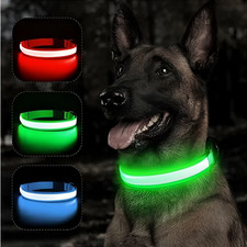 USB Rechargeable LED Dog Pet