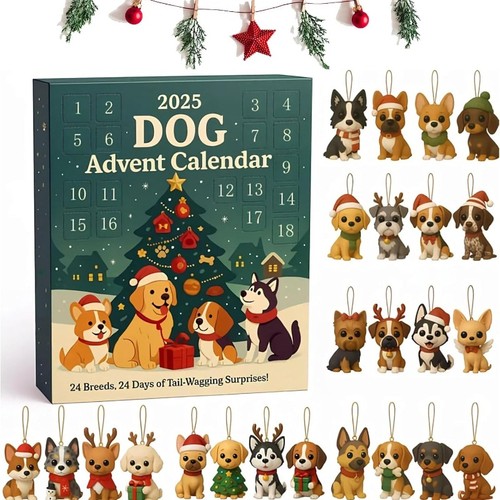 Dog advent calendar 2025 24 - dog,