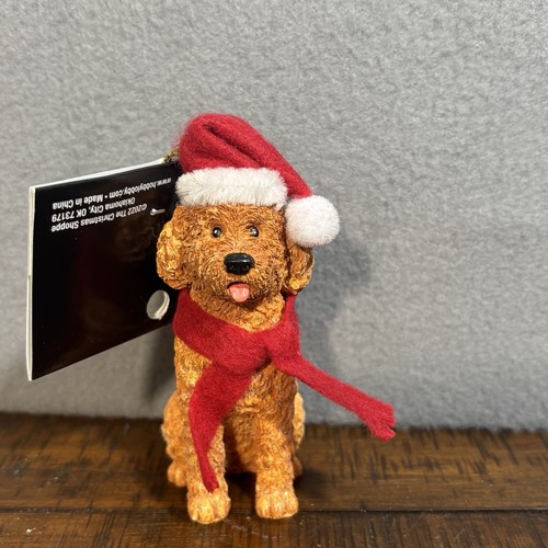 Goldendoodle labradoodle dog - labradoodle,