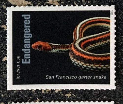 2023usa 5799n forever - #5799n,