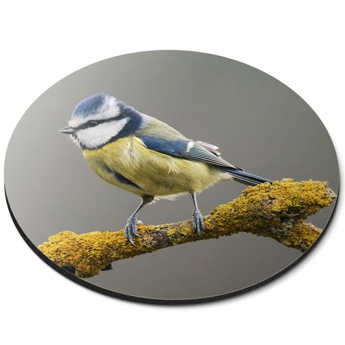Round mouse mat - mouse,