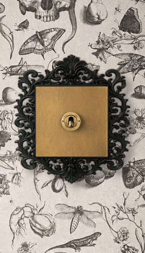 Gothic victorian light switch - victorian,