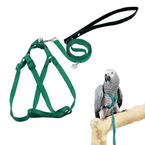 Asocea bird harness and leash - bird,