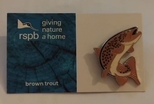 Rspb pin badge - rspb,