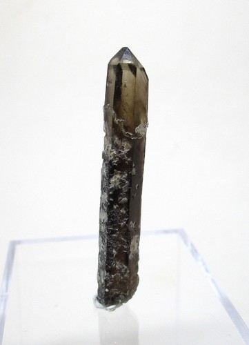 Smoky quartz scepter - quartz, --