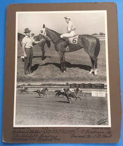 Solarium 1940 horse - *solarium*,