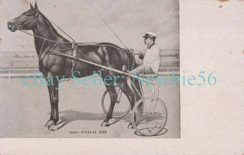 Harness horse racing dan - harness,