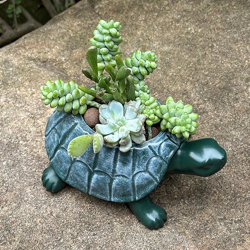 Turtle planter plant - turtle,