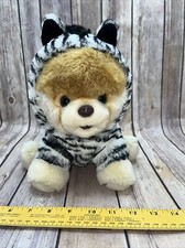BOO The Worlds Cutest Dog By