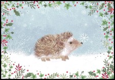 Greeting Card - Hedgehog -