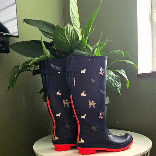 Joules welly print - welly,
