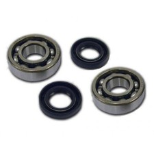 Kit ATHENA Bearings And Seals