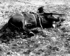 Russian Cossack in firing position World War I 8x10 WWI WW1 Photo 39