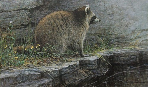 Robert bateman distant - robert,