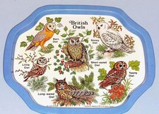 British Owls Tin Tray Vintage Small Serving Tray Elgate England 6 x 7in RefB 