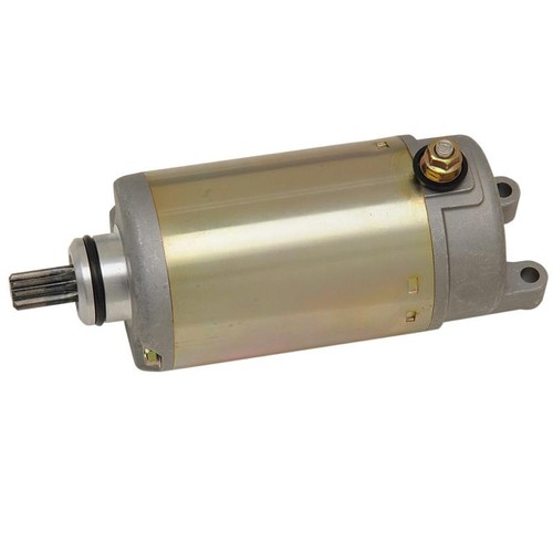 Ricks electric starter motor - ricks,