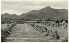 Slieve bignian mourne - slieve,