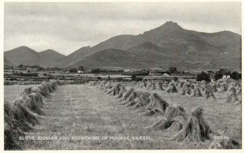 Slieve bignian mourne kilkeel - mourne,