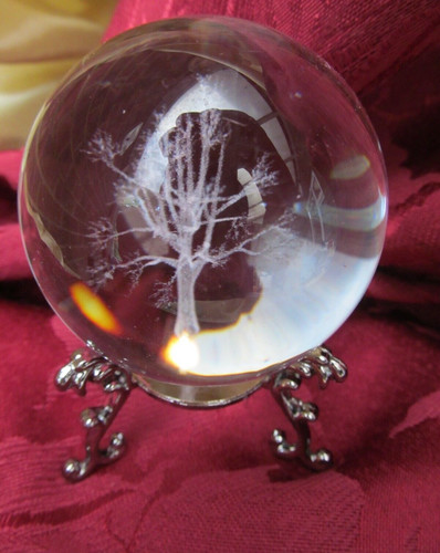 Amazing tree life - of,