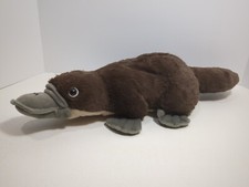 Platypus, Duck Billed, High