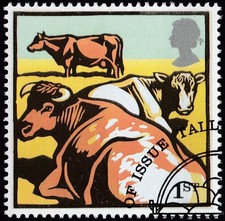 Dairy Shorthorn Cattle illustrated on 2005 fine used GB stamp 