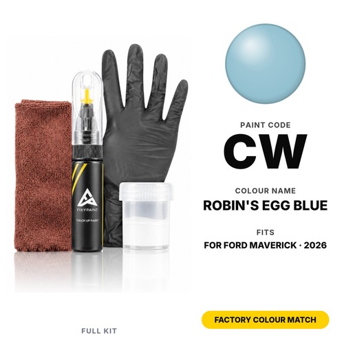 Touch paint for ford - paint,
