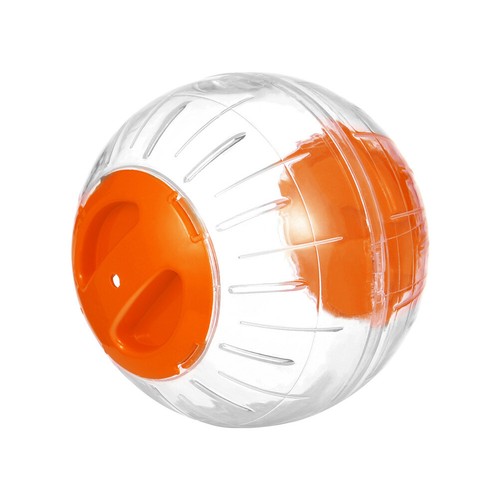 Rat exercise ball - exercise,